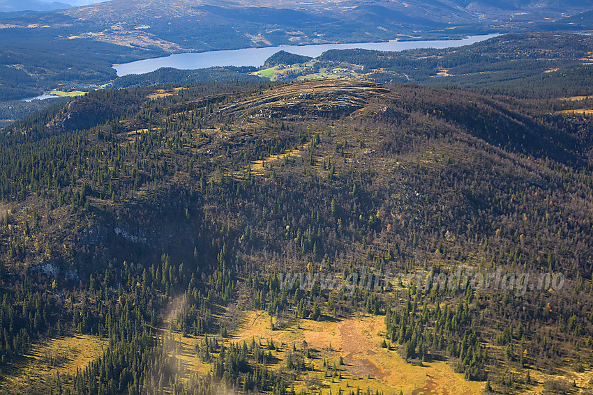 Javnberget (1097 moh) fra lufta.