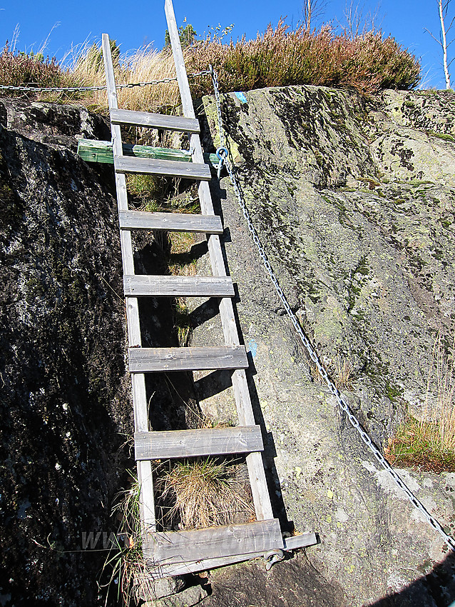 Stige på ruta til Svarteberget.