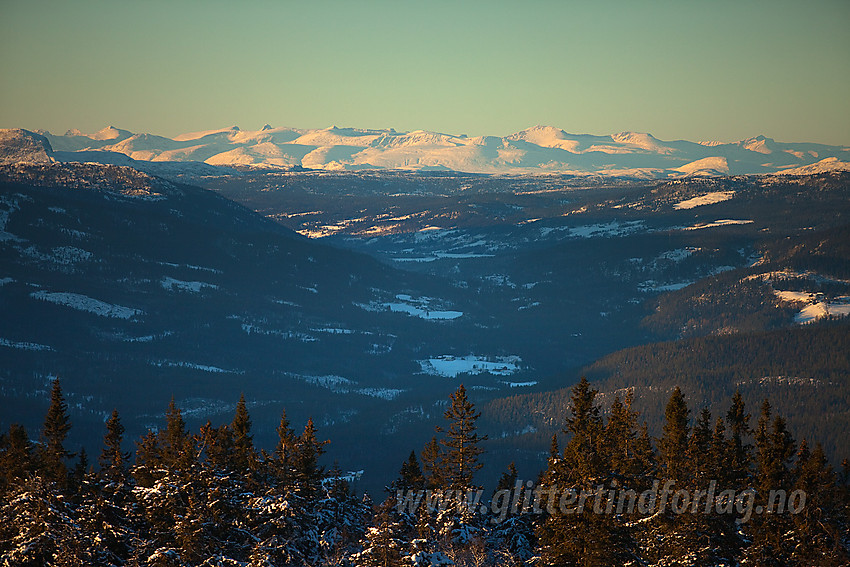 Utsikt fra Dalavardin oppover Etnedalen med Jotunheimen i bakgrunnen. Rundemellen anes i venstre bildekant.