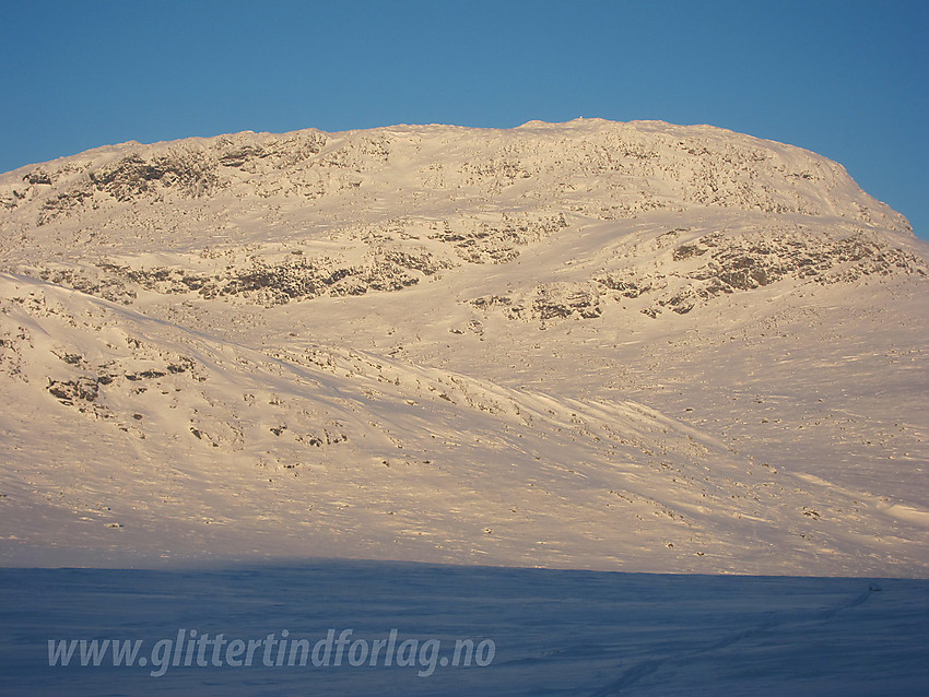 Hundesteinsegge (1626 moh) sett fra Fagersetmyrane i sør.