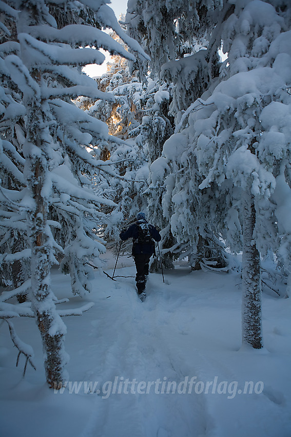 Vintereventyr på Tonsåsen ved Svartetjernknatten (944 moh).