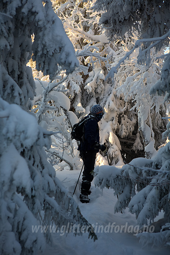 Vintereventyr på Tonsåsen ved Svartetjernknatten (944 moh).