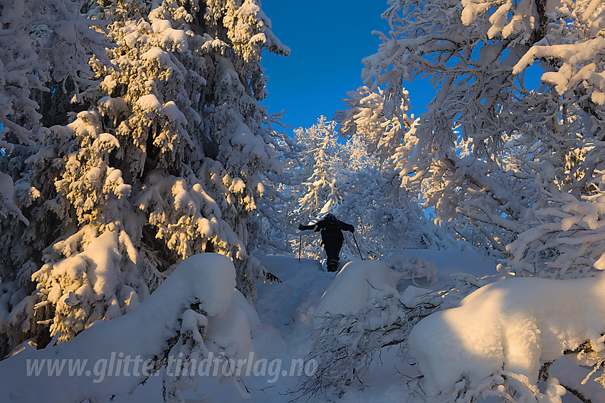 Vintereventyr på Tonsåsen ved Svartetjernknatten (944 moh).