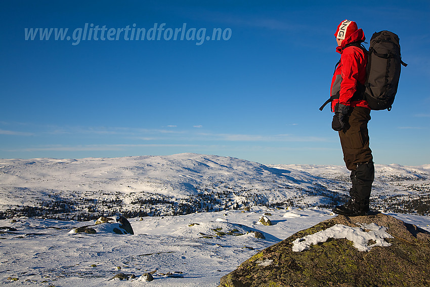 Fra Svarttjernkollen mot Gyranfisen.