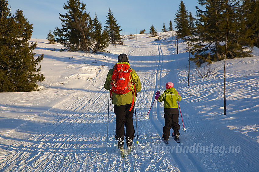 På vei opp den siste bakken mot toppen på Skardåsen.