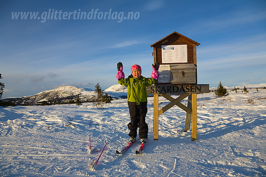 På toppen av Skardåsen (1071 moh). Skarvemellen i bakgrunnen.