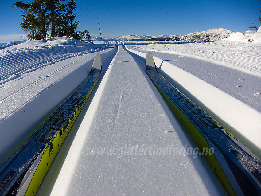 Ski i sporet på toppen av Skardåsen i Nord-Aurdal.