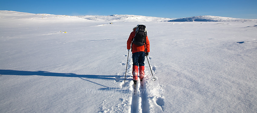 Fellestur med DNT Valdres på tur fra Ørneflag over mot Storrustefjellet i Vassfaret.