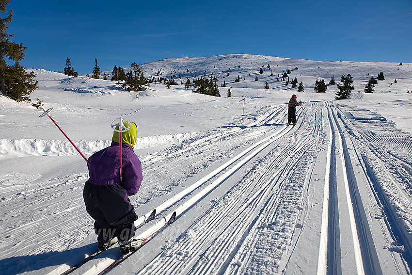 Små skiløpere med kurs mot Smørlifjellet (1160 moh) som ses i bakgrunnen.