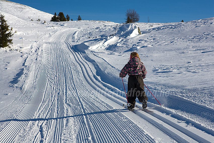 På vei oppover Smørlifjellet i Nord-Aurdal.