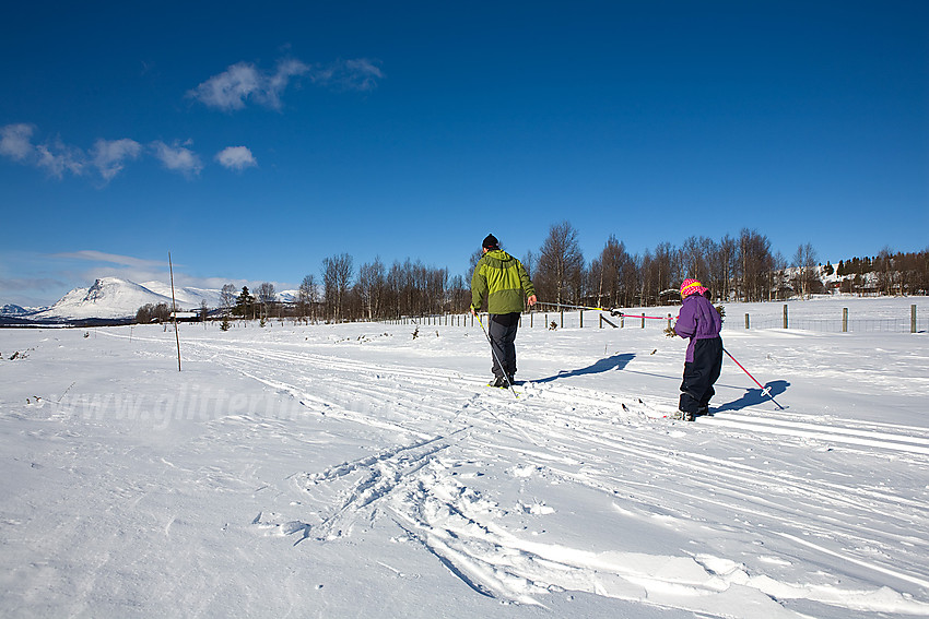 Skitur ved Langestølen på Stølsvidda.