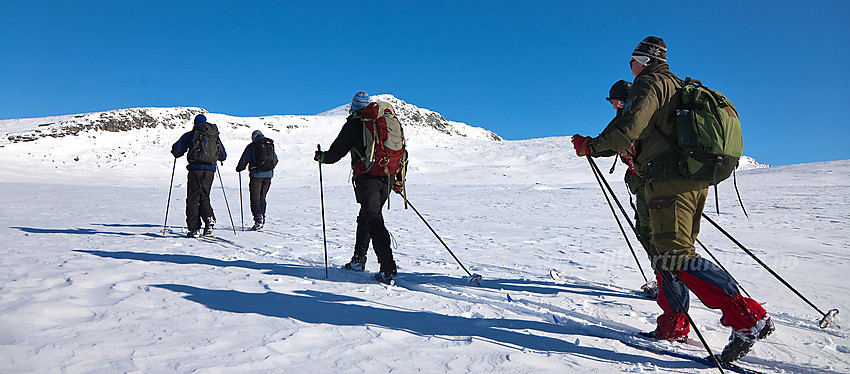 Skiløpere med kurs for Skaget som ses i bakgrunnen.
