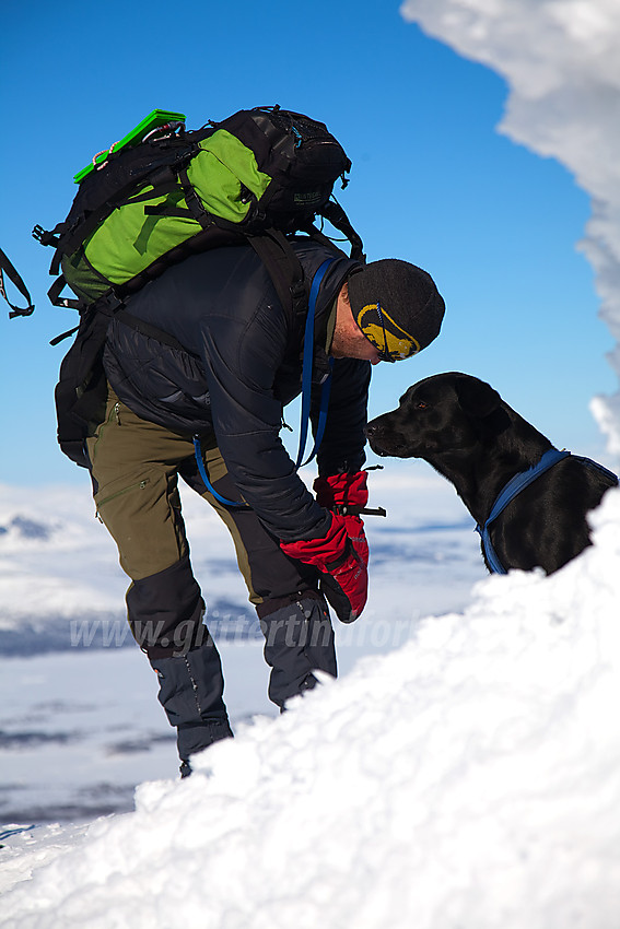 Hund og eier på toppen av Skaget.