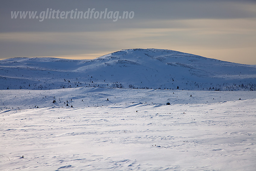 På retur fra Skaget på ettermiddagen mot Kjølafjellet (1225 moh).