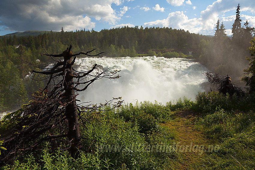 Flomstore Ryfossen er et vakkert syn.