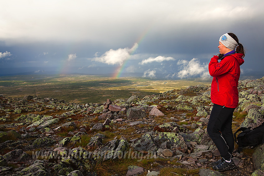 Stemningsfull sommerkveld på Rundemellen. Fra fellestur med DNT Valdres.