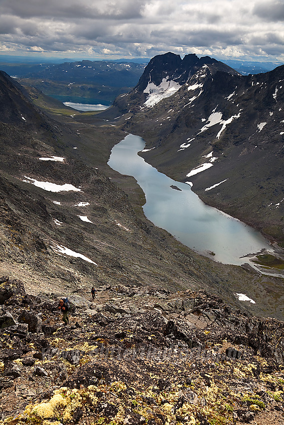 På vei opp siste kneika mot Knutsholsryggen, like nord for Vesle Knutsholstinden. Her er det flott utsikt mot Svartdalen med Torfinnstindane i bakgrunnen.