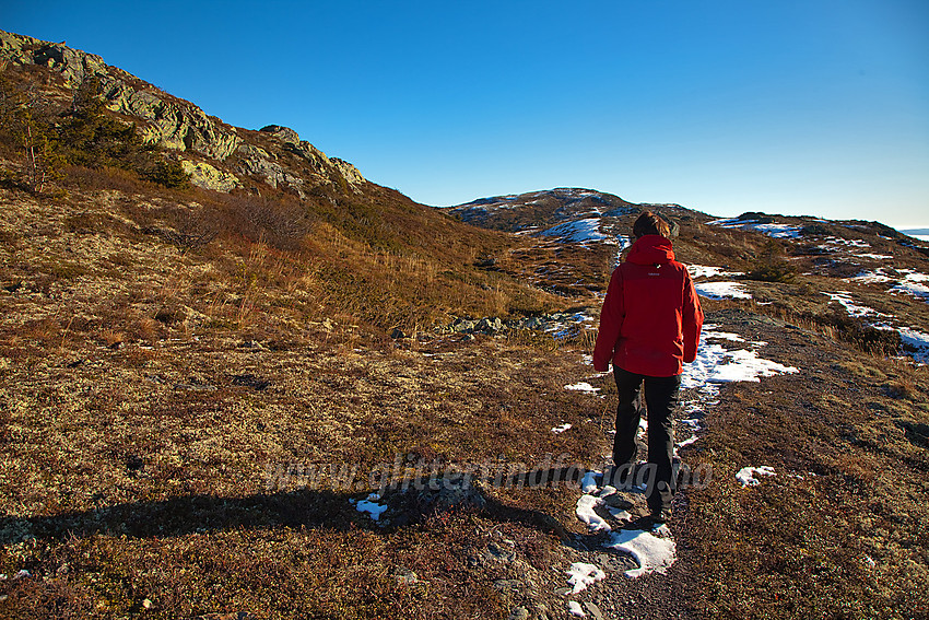 På vei fra Kolsrudstølen mot Bjørgovarden som ses i bakgrunnen.