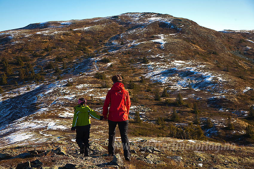 På vei opp til Bjørgovarden fra Kolsrudstølen. Kun en bakke igjen til toppen nå.