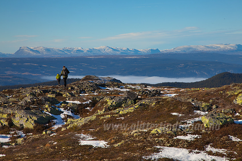 PÅ vei ned fra Bjørgovarden. I bakgrunnen fjellrekka fra Skogshorn til Gråskarvet.