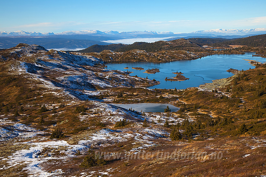 Fra Bjørgovarden mot Langevatnet med snøhvite Vangsfjell i bakgrunnen. Stien mot Kolsrudstølen vi er på vei strekker seg u mot venstre bildekant som et hvitt bånd.