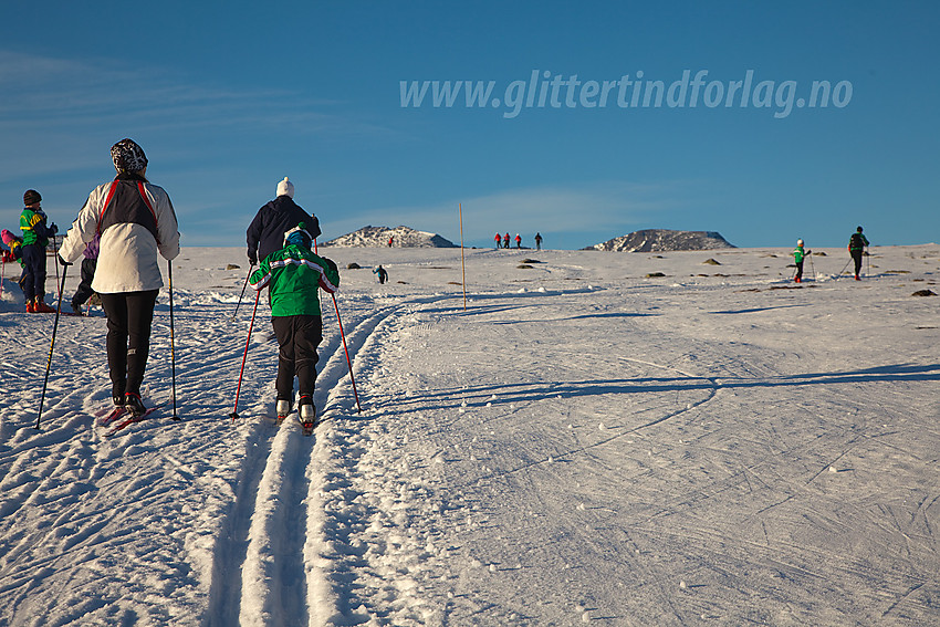 Skiløping på Valdresflye.