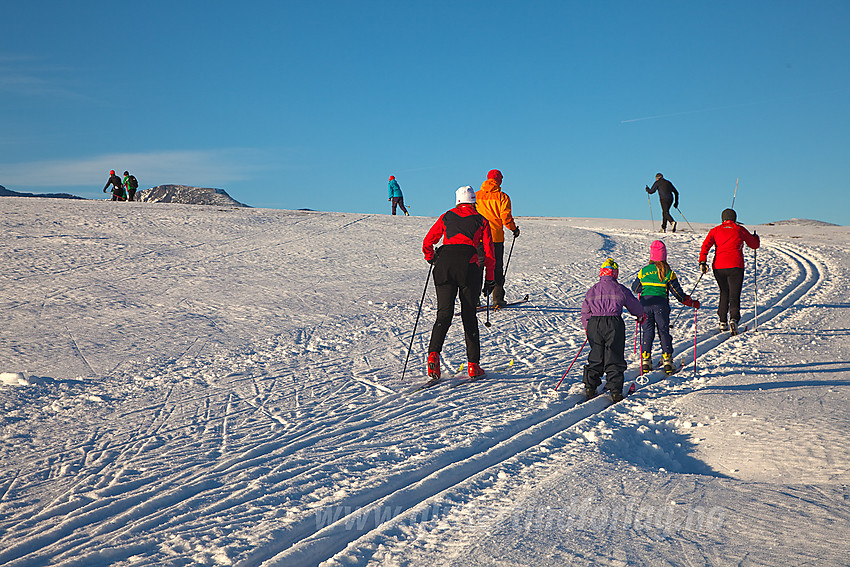 Skiløping på Valdresflye.