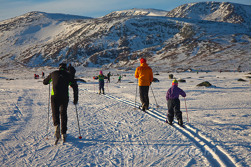 Skiløping på Valdresflye.