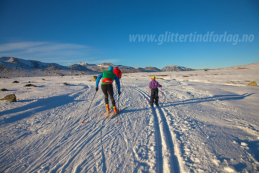 Skiløping på Valdresflye.