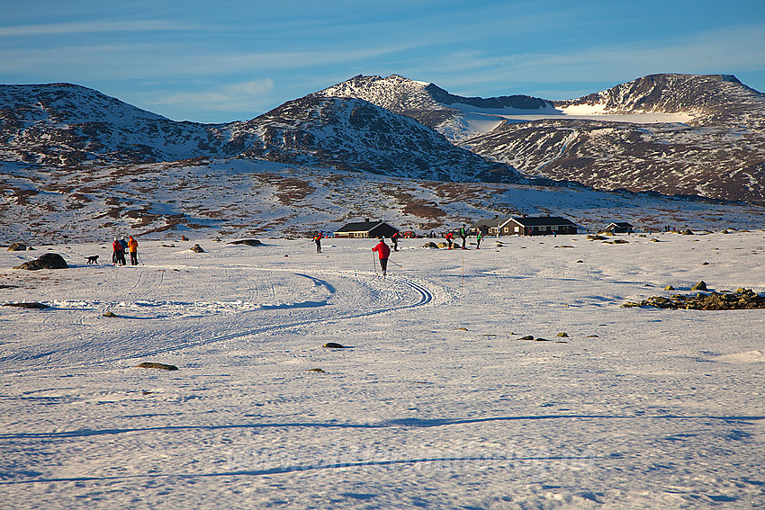 Skiløping på Valdresflye.