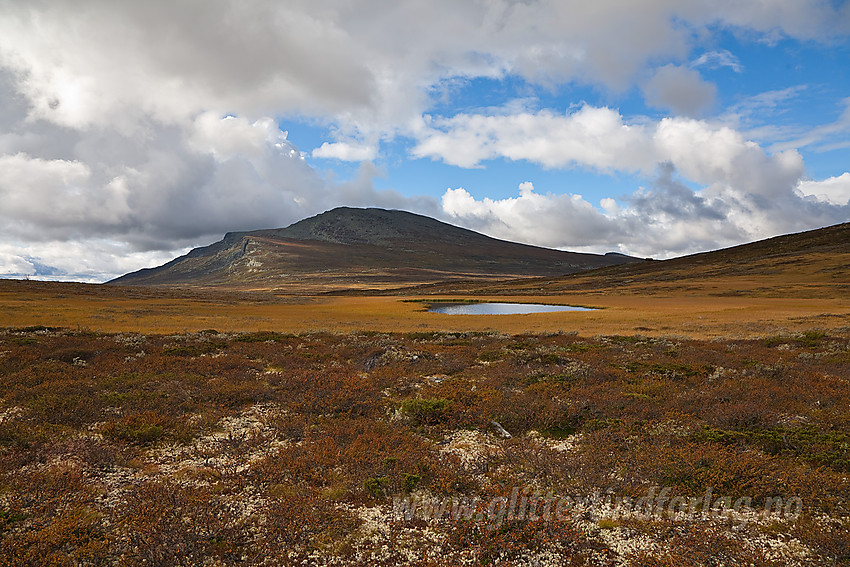 På flata mellom Buatinden og Klanten med utsikt mot Skaget (1685 moh).