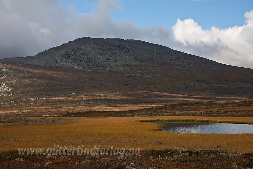 På flata mellom Buatinden og Klanten med utsikt mot Skaget (1685 moh).