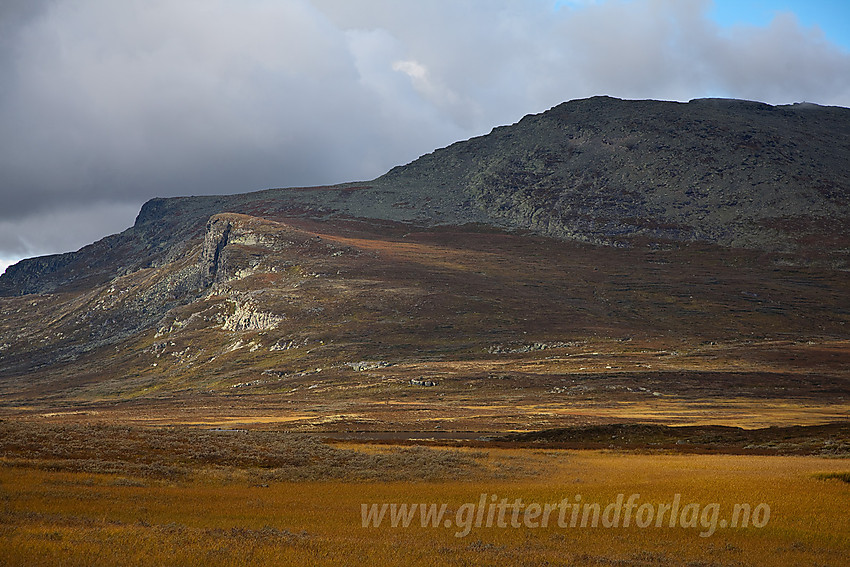 På flata mellom Buatinden og Klanten med utsikt mot Skaget (1685 moh). Til venstre på massivet ses Toreknatten og Nasen (bak).