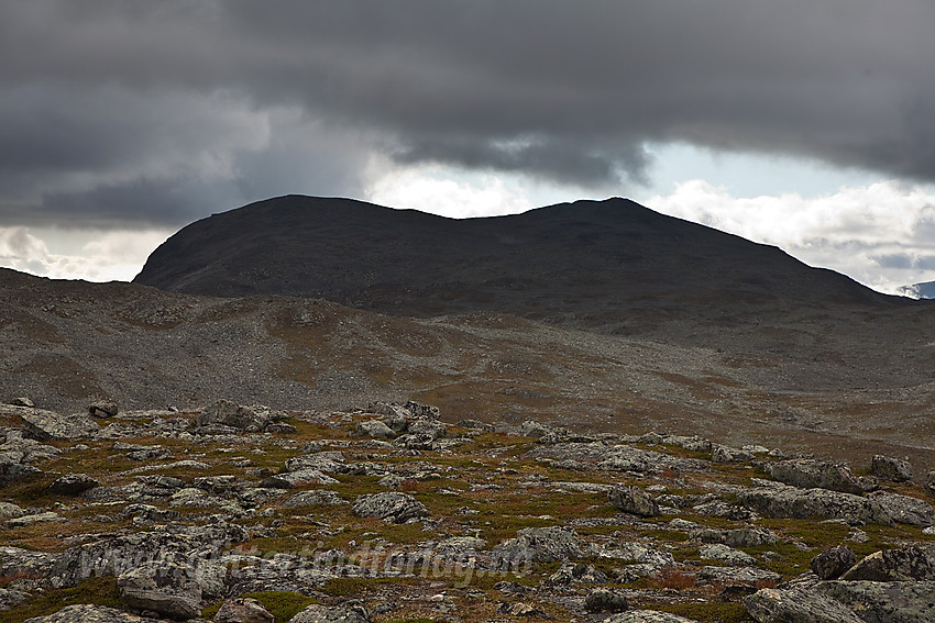 Fra Kyrklanten mot Skutshornmassivet (1630 moh).