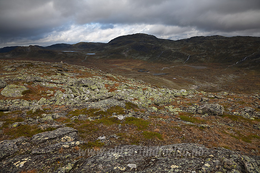 I fjellet nord for Skyrifjellet med utsikt nordover med Hundesteinsegge sentralt i bildet.