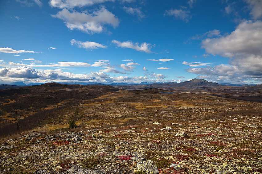 Fra Sølifjellet mot Myrebærhammaren og Skaget.