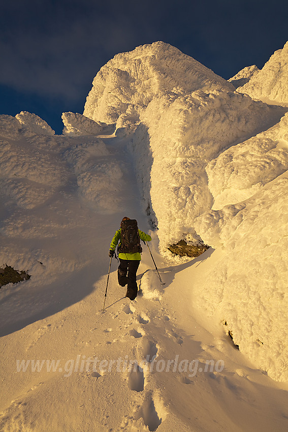 På vei opp mot Skaget gjennom et landskap av de vakreste snøskulpturer.