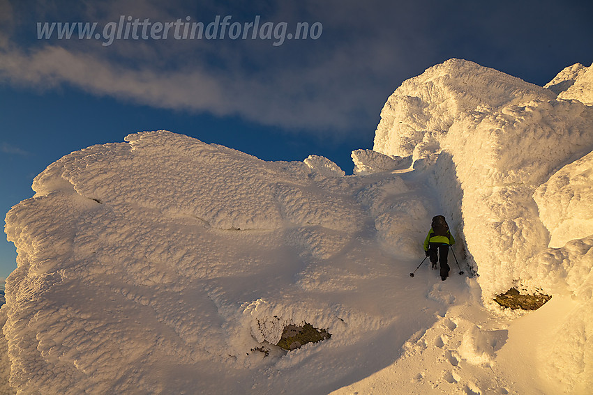 På vei opp mot Skaget gjennom et landskap av de vakreste snøskulpturer.