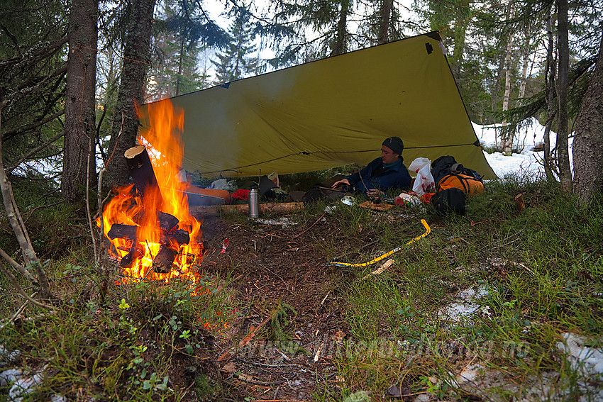 Leir i skogen i lia øst for Breidstulfjellet i Notodden kommune. 