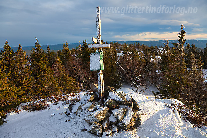 Tåråfjellet ruver såvidt en trehøyde over skogen omkring, nok til å gi en mer enn godkjent utsikt.