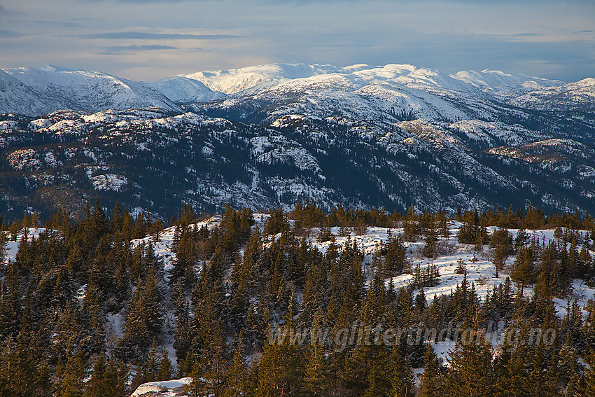 Utsikt fra Tåråfjellet mot fjellene på nordsiden av Årmotdalen (nord for Lifjell).