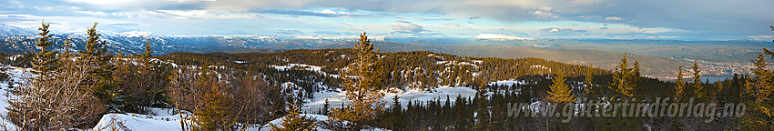 Panorama fra Tåråfjellet i nordlig retning. Helt til høyre ses Notodden.