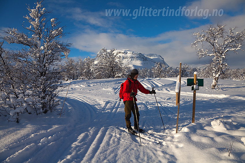 På åsen mellom Vangsmjøse og Helin med Grindane i bakgrunnen.