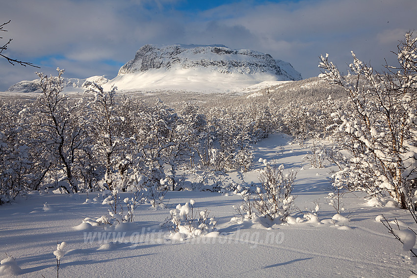 På åsen mellom Grindaheim og Helin med Grindane (1724 moh) midt i mot.