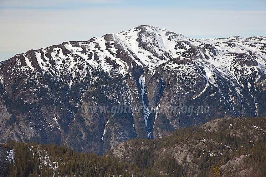 På vei mot Mælefjell med utsikt til Skorvetoppen (1370 moh).