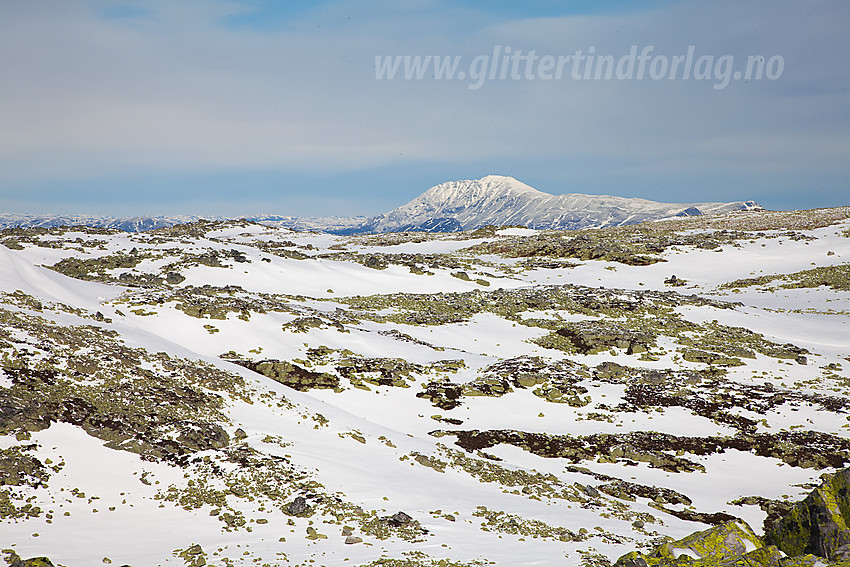 På Steinfjellet med utsikt til Gaustatoppen.