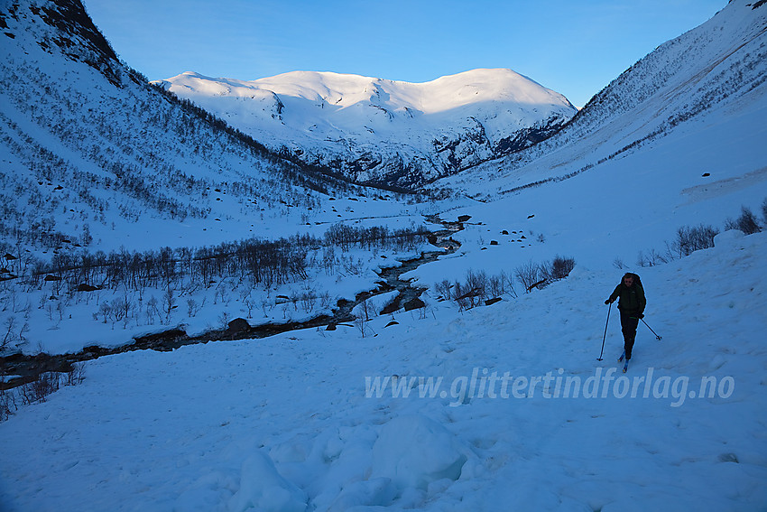 På vei inn Haugadalen på tur til Snønipa. I bakgrunnen Grøskarfjellet og Dauremålsnipa.