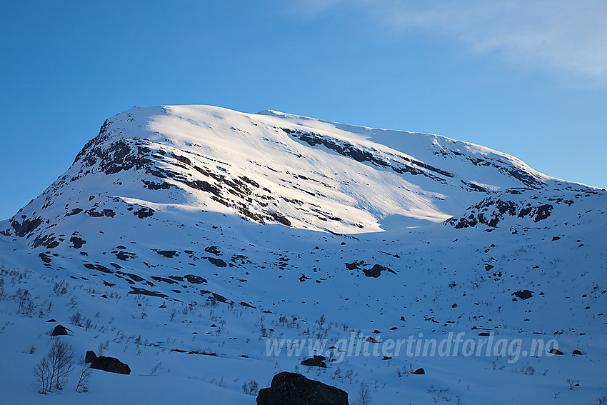 Søre Kvannefjellet (1567 moh) fra Haugadalen.