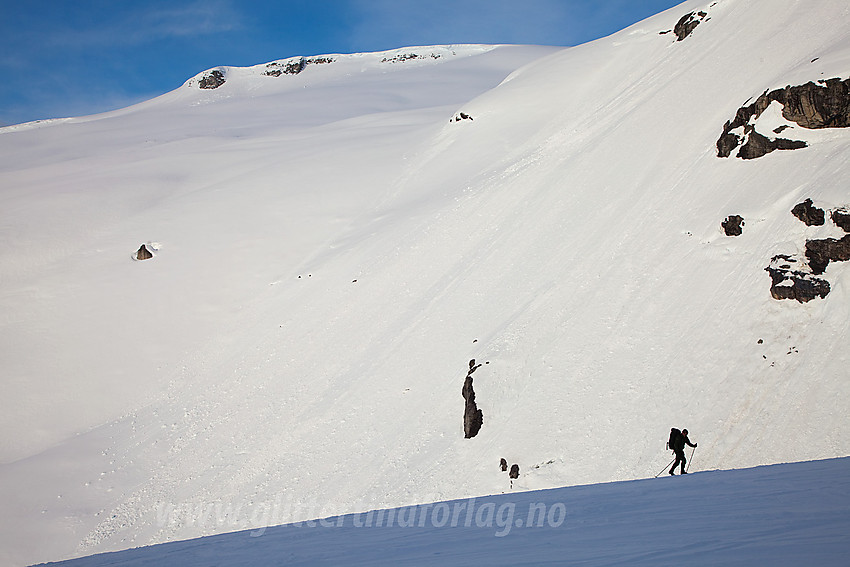 På vei oppover Haugabreen med snøflanke på vestsiden av Haugadalen i bakgrunnen.