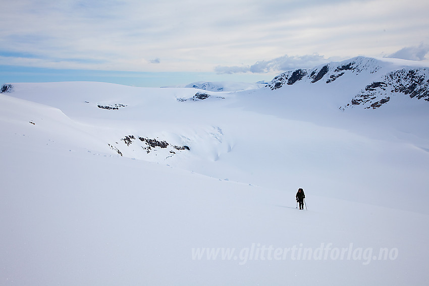 På vei opp Snønipebreen med øvre basseng på Haugabreen i bakgrunnen. Bak til venstre ses punkt 1710 moh på Myklebustbreen og til høyre Kvannefjellet Nord (1712 moh).